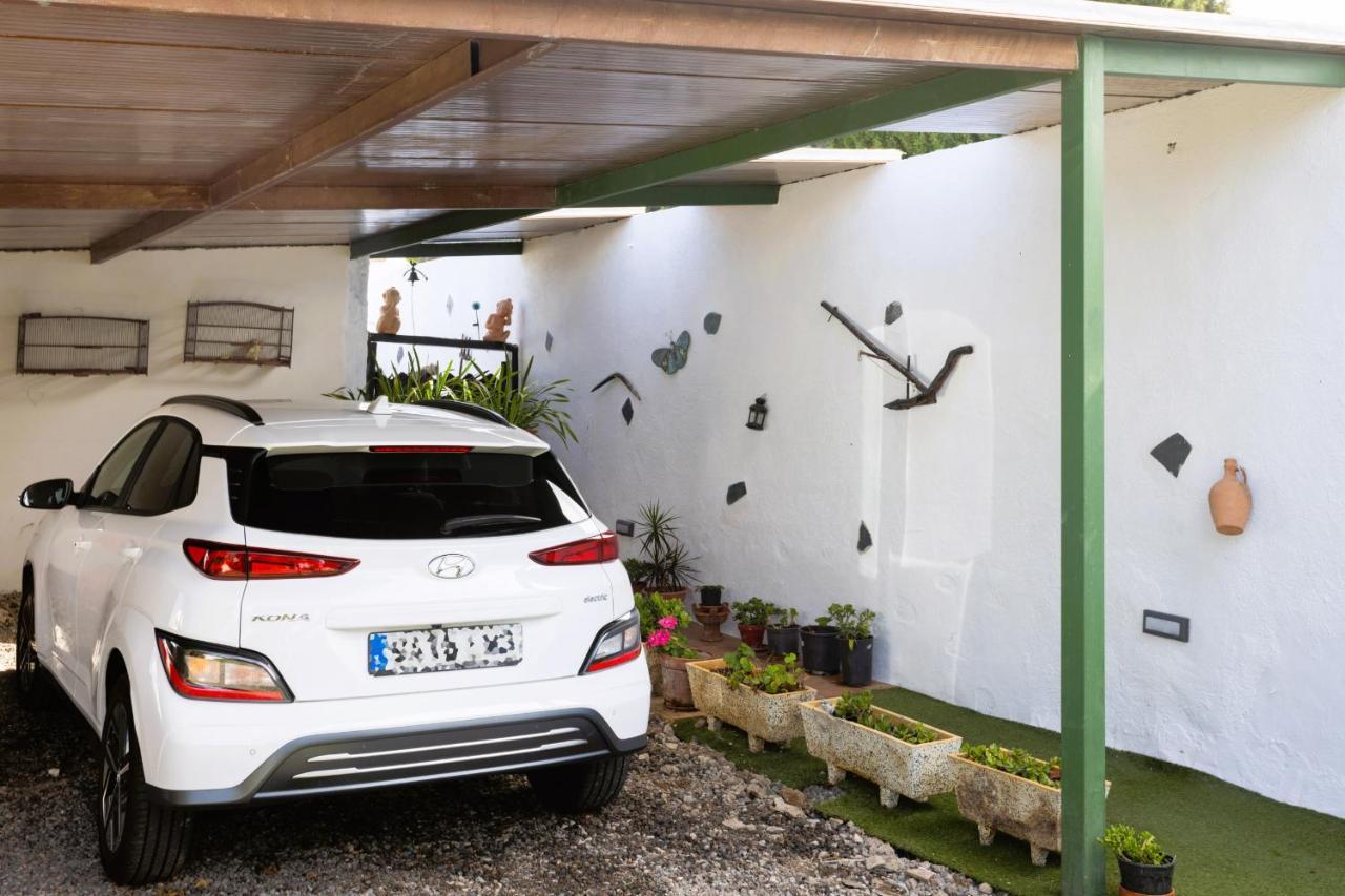 Casa Cateyma With Pool Βίλα Icod De Los Vinos Εξωτερικό φωτογραφία